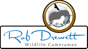 Rob Drewett Wildlife Cameraman
